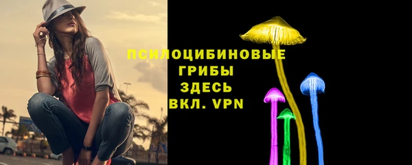 скорость Нея