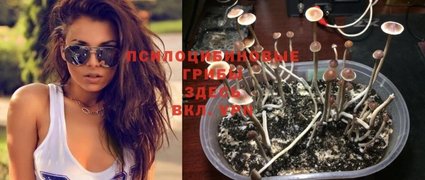 прущие крисы Абинск