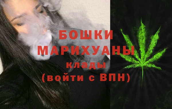 МДПВ Нефтегорск
